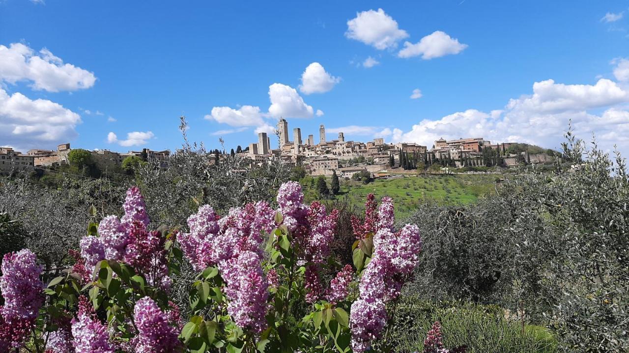 Antico Casolare Villa San Gimignano Exteriör bild