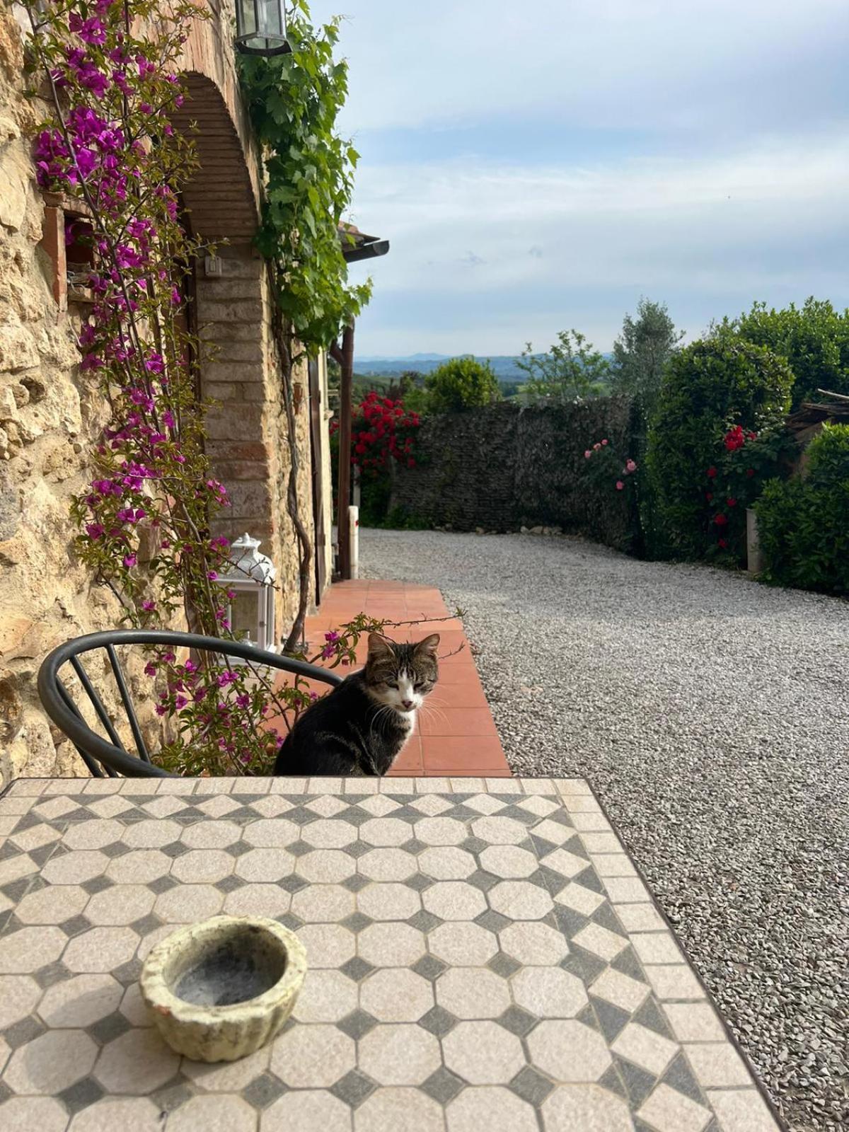 Antico Casolare Villa San Gimignano Exteriör bild