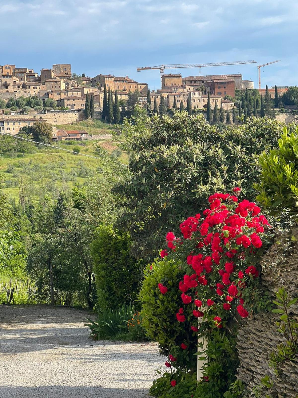Antico Casolare Villa San Gimignano Exteriör bild