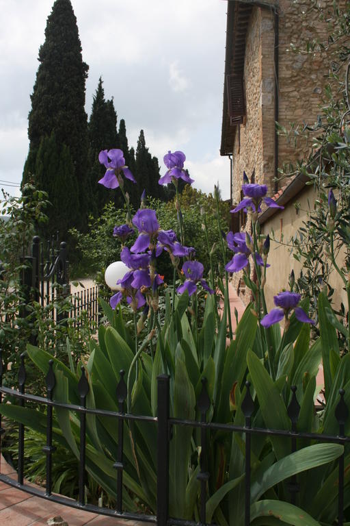 Antico Casolare Villa San Gimignano Exteriör bild
